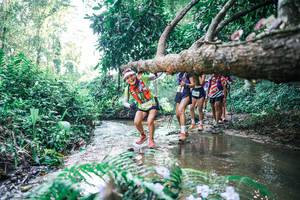 BIB: 
                            <button type="button" onclick="openModal(25444891)" class="btn btn-primary btn-sm float-right btn-popup" data-toggle="modal" data-target=".modal-high-quality">
                        <i class="fas fa-shopping-cart"></i> Add to Cart
                    </button>
                                            <button type="button" onclick="isThisMe(25444891, true)" class="btn btn-success btn-sm float-right btn-popup btn-isme hidden" data-toggle="tooltip" data-placement="bottom" title="นี่คือรูปของคุณใช่ไหม คลิกที่นี่เพื่อเอาเข้าอัลบั้ม">
                        <i class="fas fa-plus"></i> Add to album
                    </button>
                    <button type="button" onclick="isThisMe(25444891, false)" class="btn btn-warning btn-sm float-right btn-popup btn-isnotme hidden">
                        <i class="fas fa-ban"></i> Remove from album
                    </button>